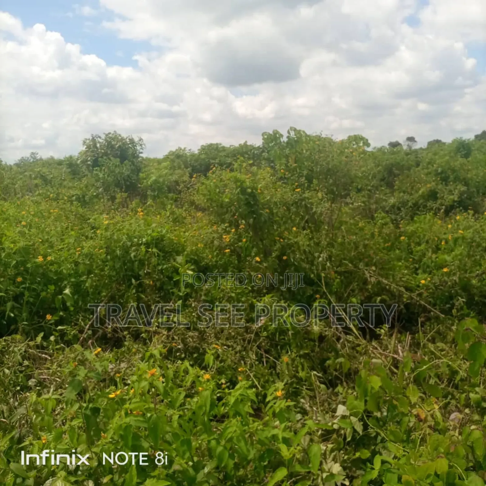 Gazetted Land's Epe Ijebu Ode Express