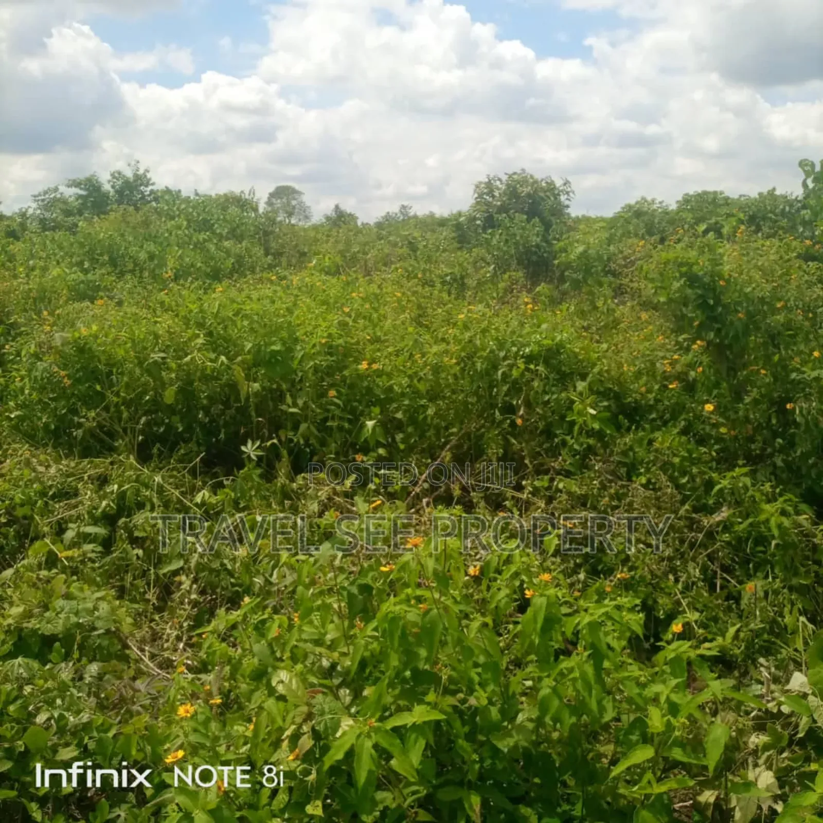 Gazetted Land's Epe Ijebu Ode Express