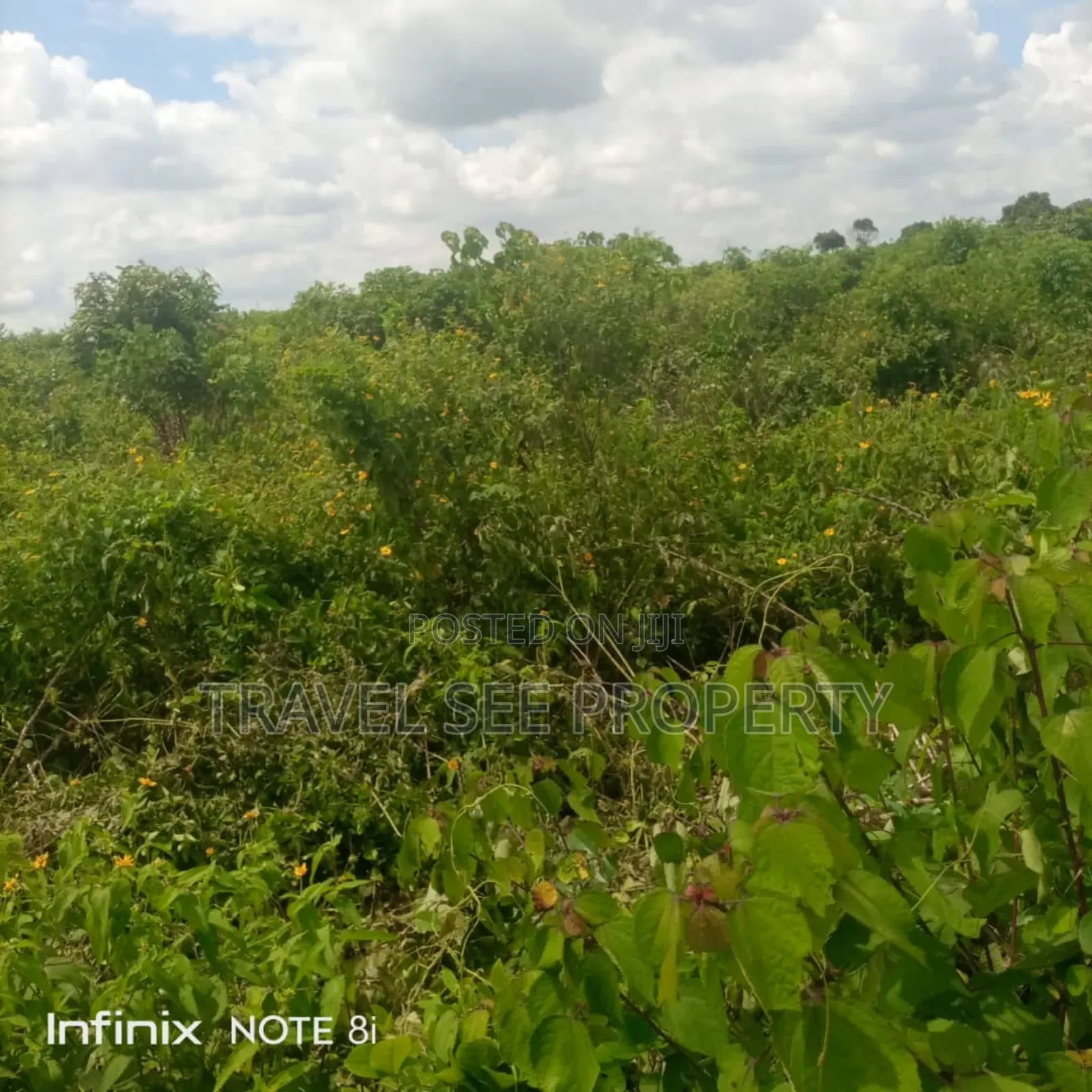 Gazetted Land's Epe Ijebu Ode Express