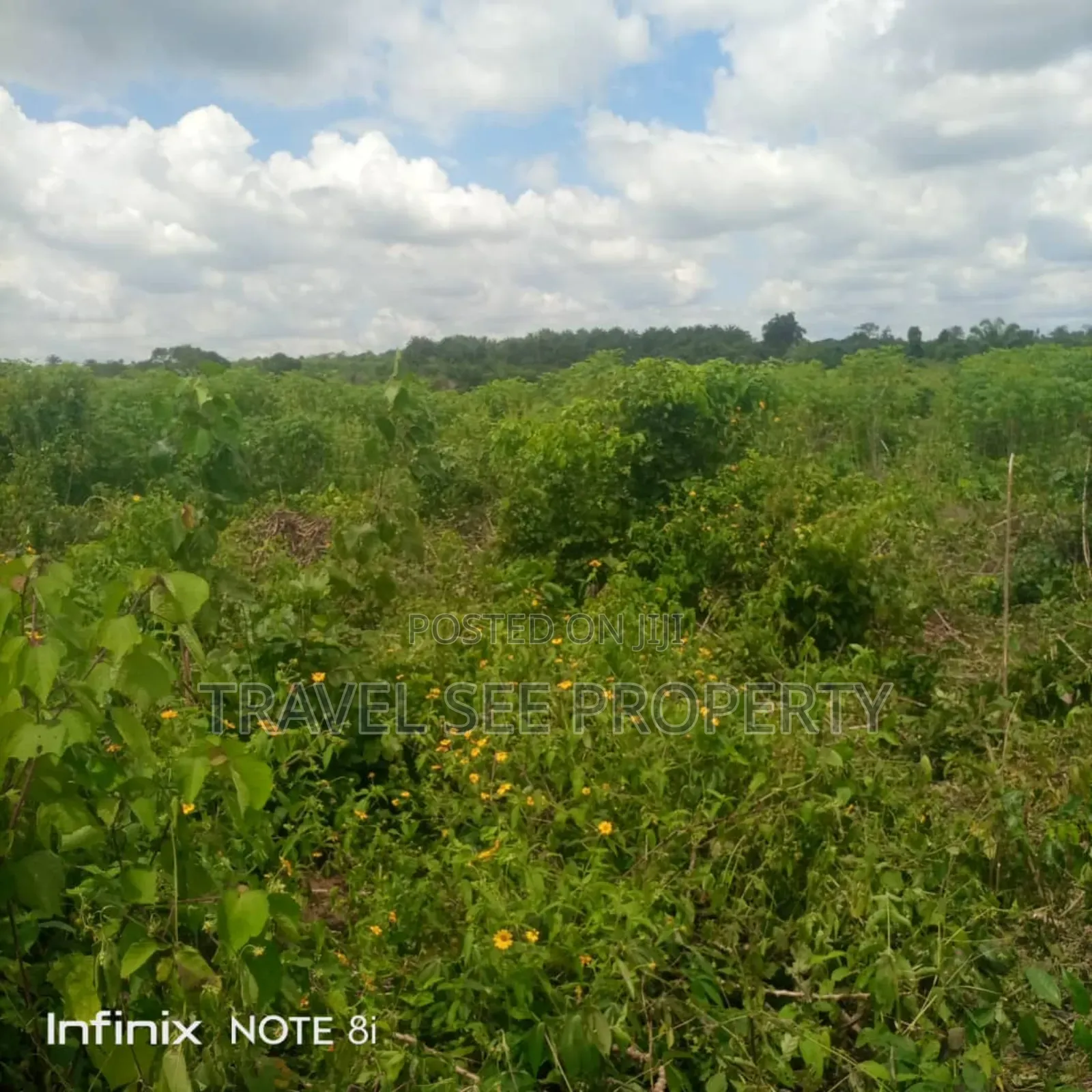 Gazetted Land's Epe Ijebu Ode Express