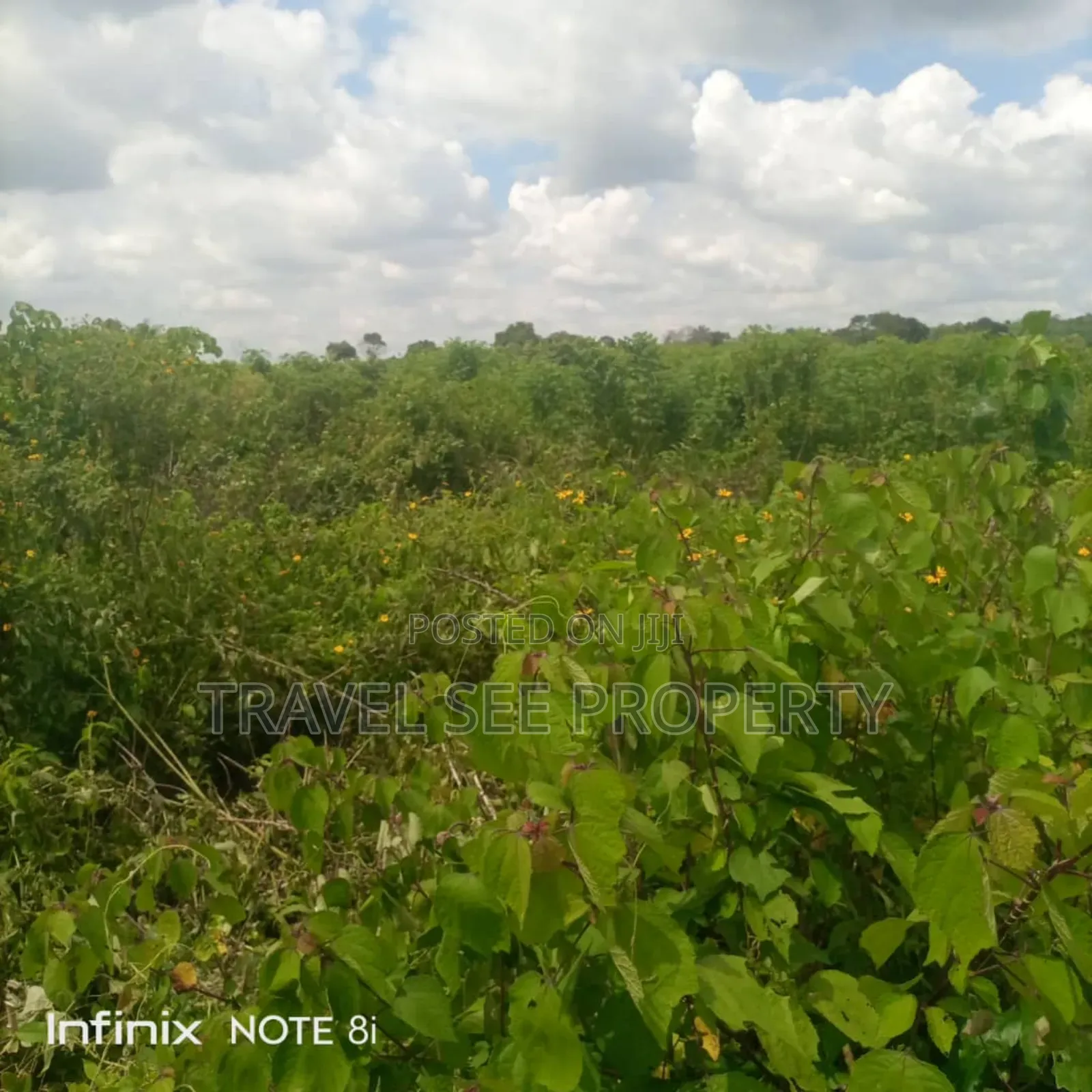 Gazetted Land's Epe Ijebu Ode Express
