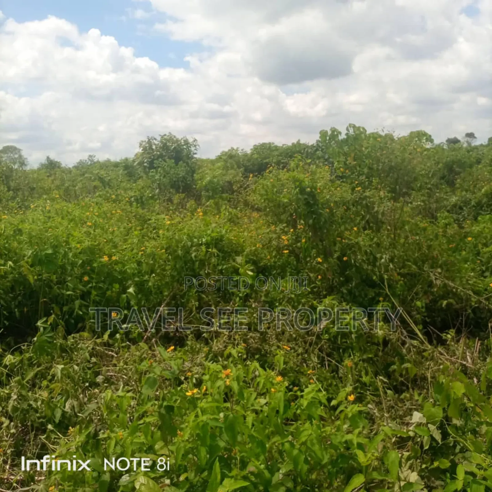 Gazetted Land's Epe Ijebu Ode Express