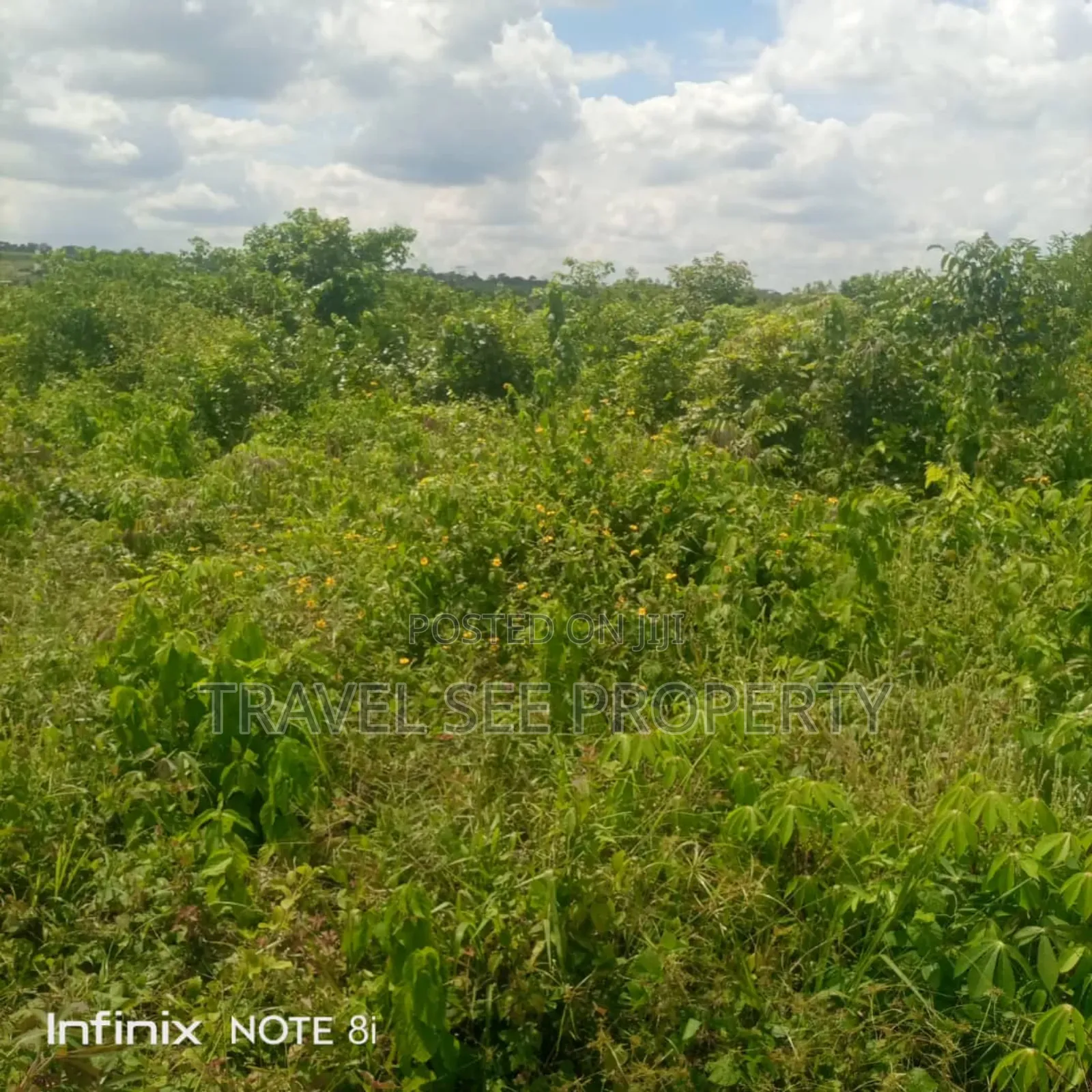 Gazetted Land's Epe Ijebu Ode Express