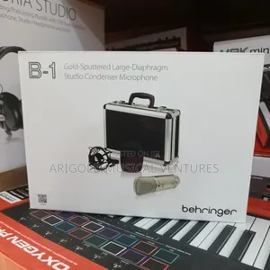 Professional Beringer Studio Microphone B1