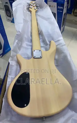 Alvarez Five Strings Electric Bass Guitar