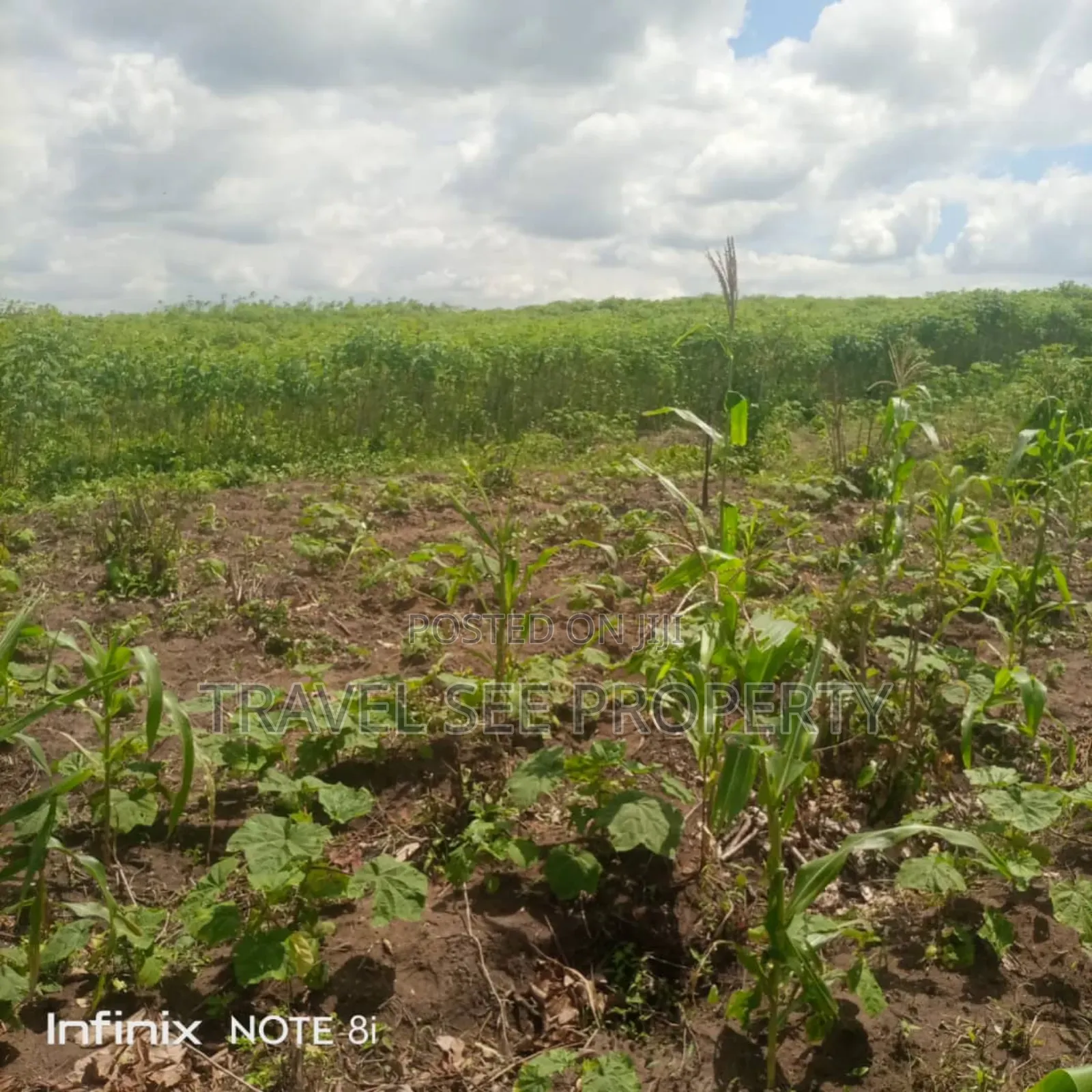 Gazetted Land's Epe Ijebu Ode Express