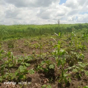 Gazetted Land's Epe Ijebu Ode Express