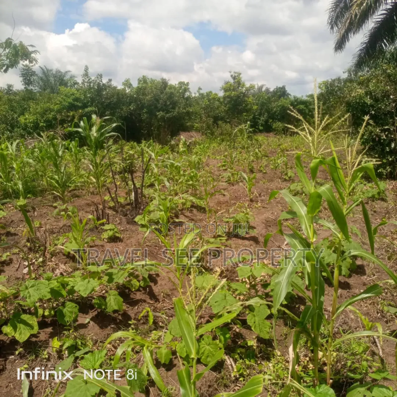 Gazetted Land's Epe Ijebu Ode Express