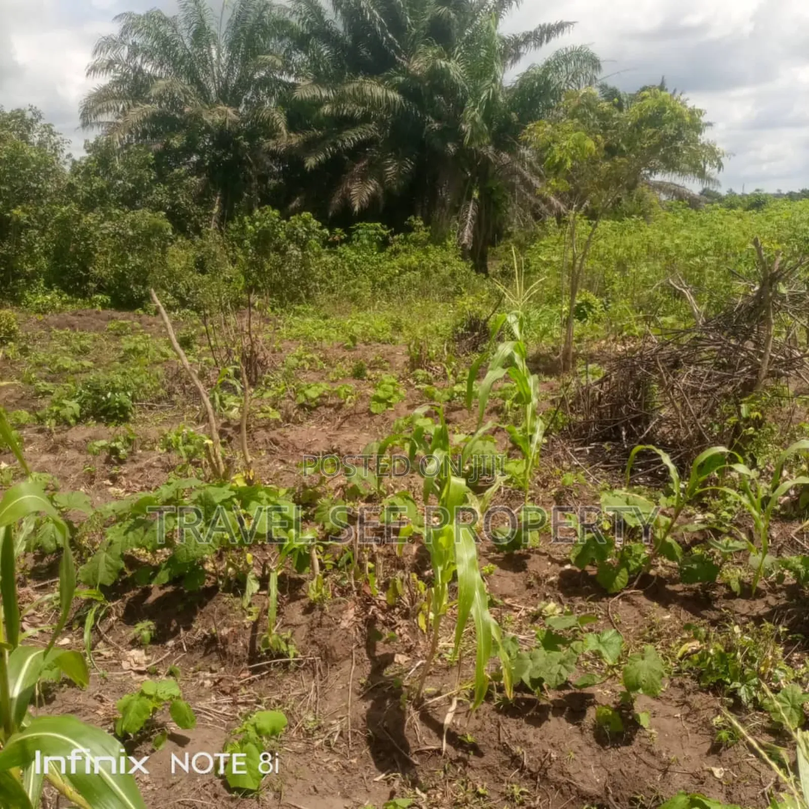 Gazetted Land's Epe Ijebu Ode Express