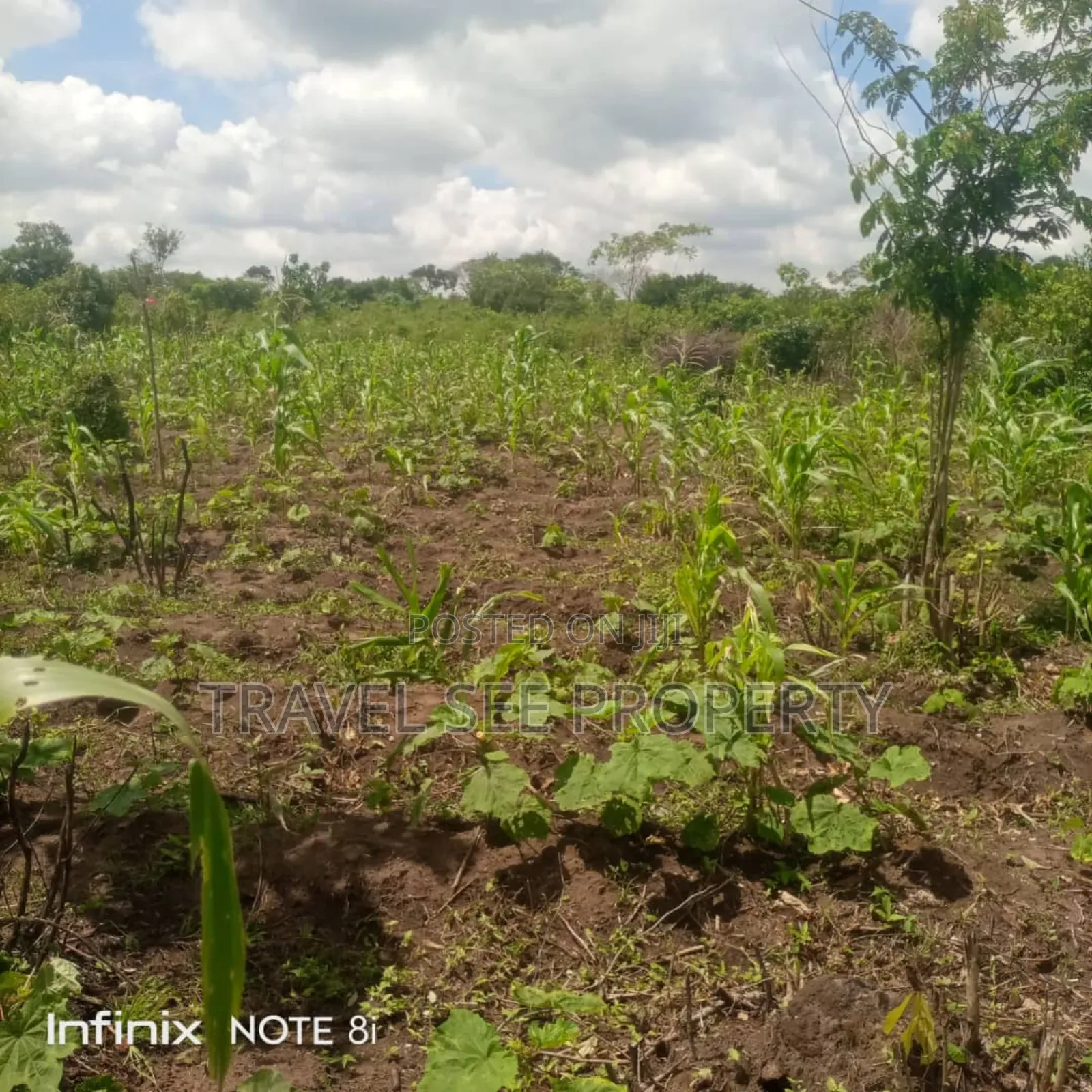 Gazetted Land's Epe Ijebu Ode Express