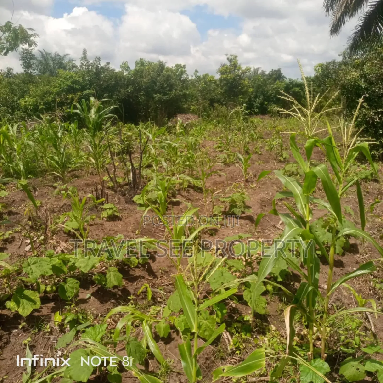 Gazetted Land's Epe Ijebu Ode Express