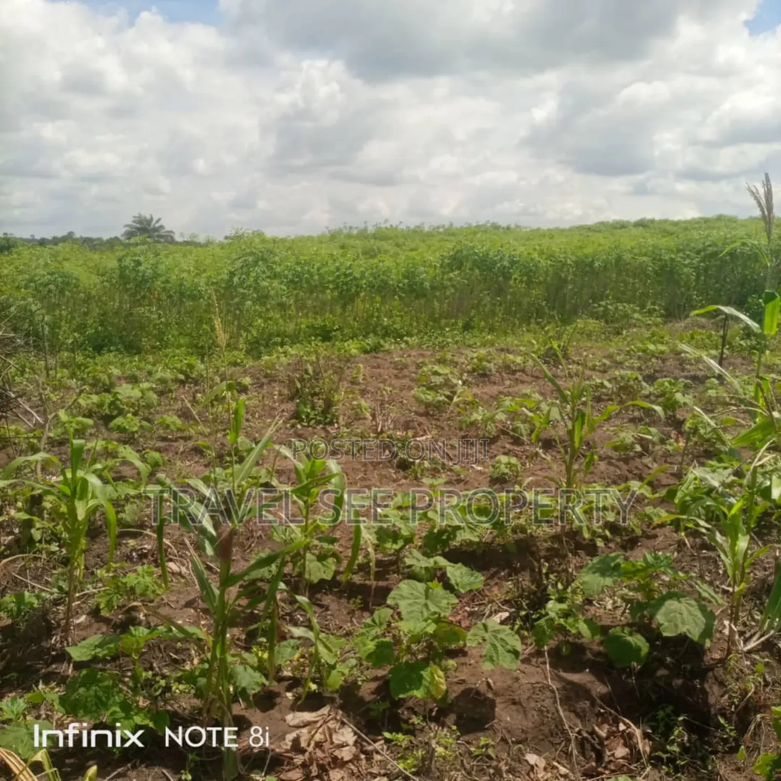 Gazetted Land's Epe Ijebu Ode Express