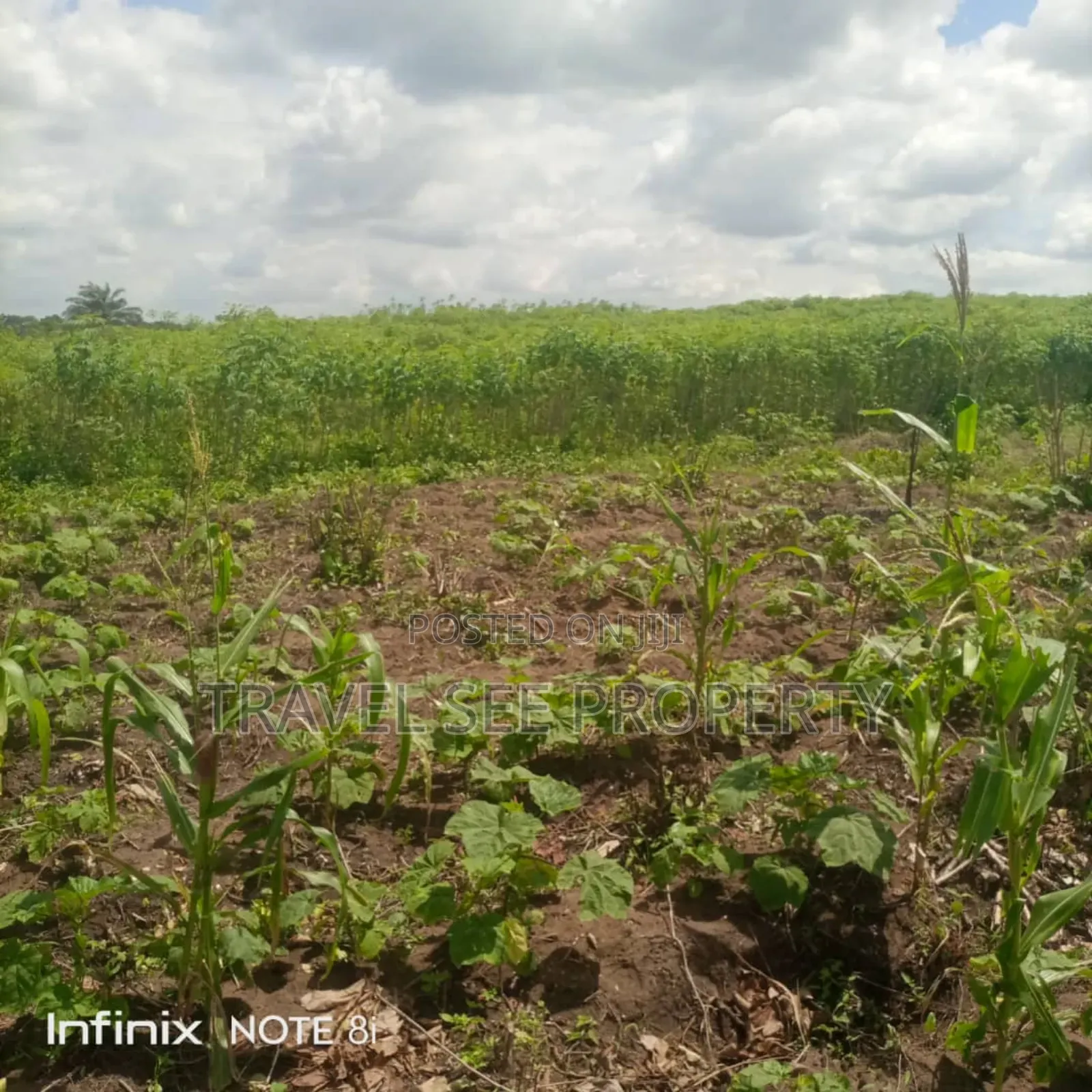 Gazetted Land's Epe Ijebu Ode Express