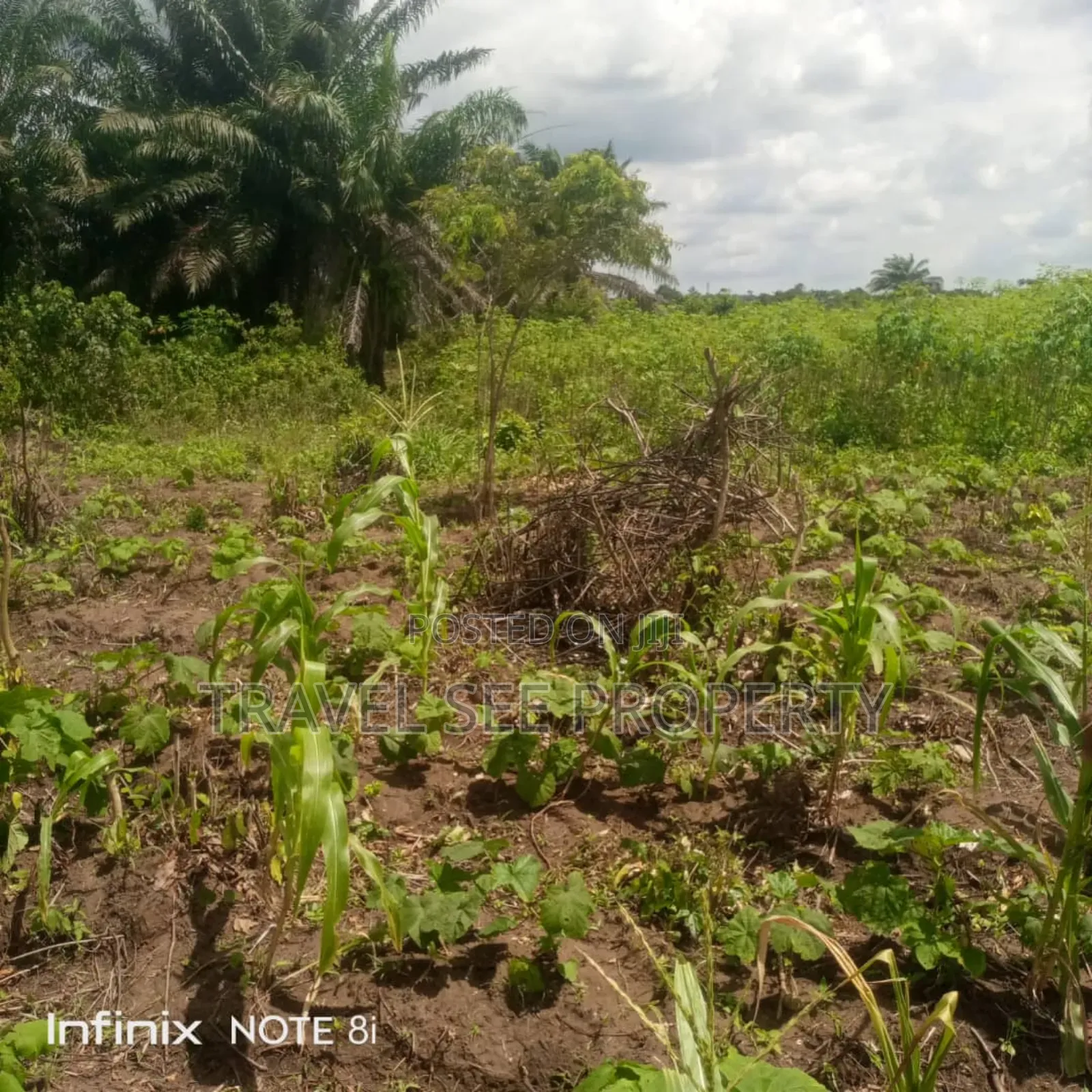 Gazetted Land's Epe Ijebu Ode Express