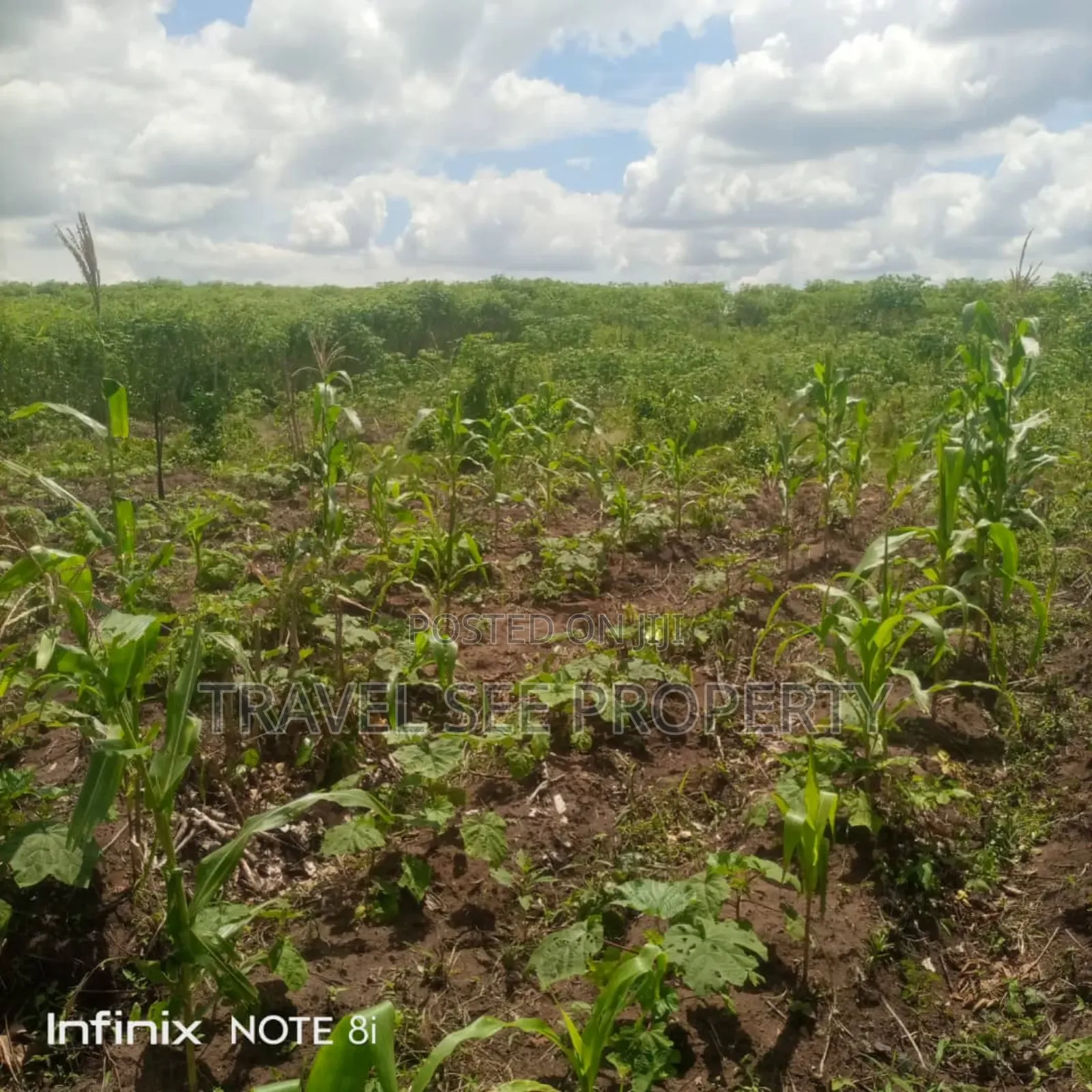 Gazetted Land's Epe Ijebu Ode Express