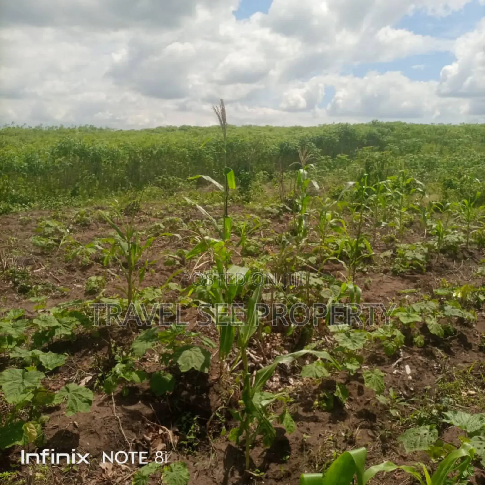 Gazetted Land's Epe Ijebu Ode Express