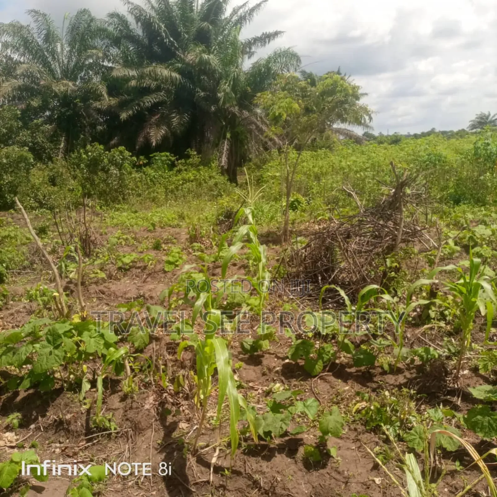 Gazetted Land's Epe Ijebu Ode Express