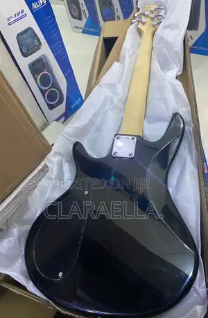 Alvarez Five Strings Bass Guitar