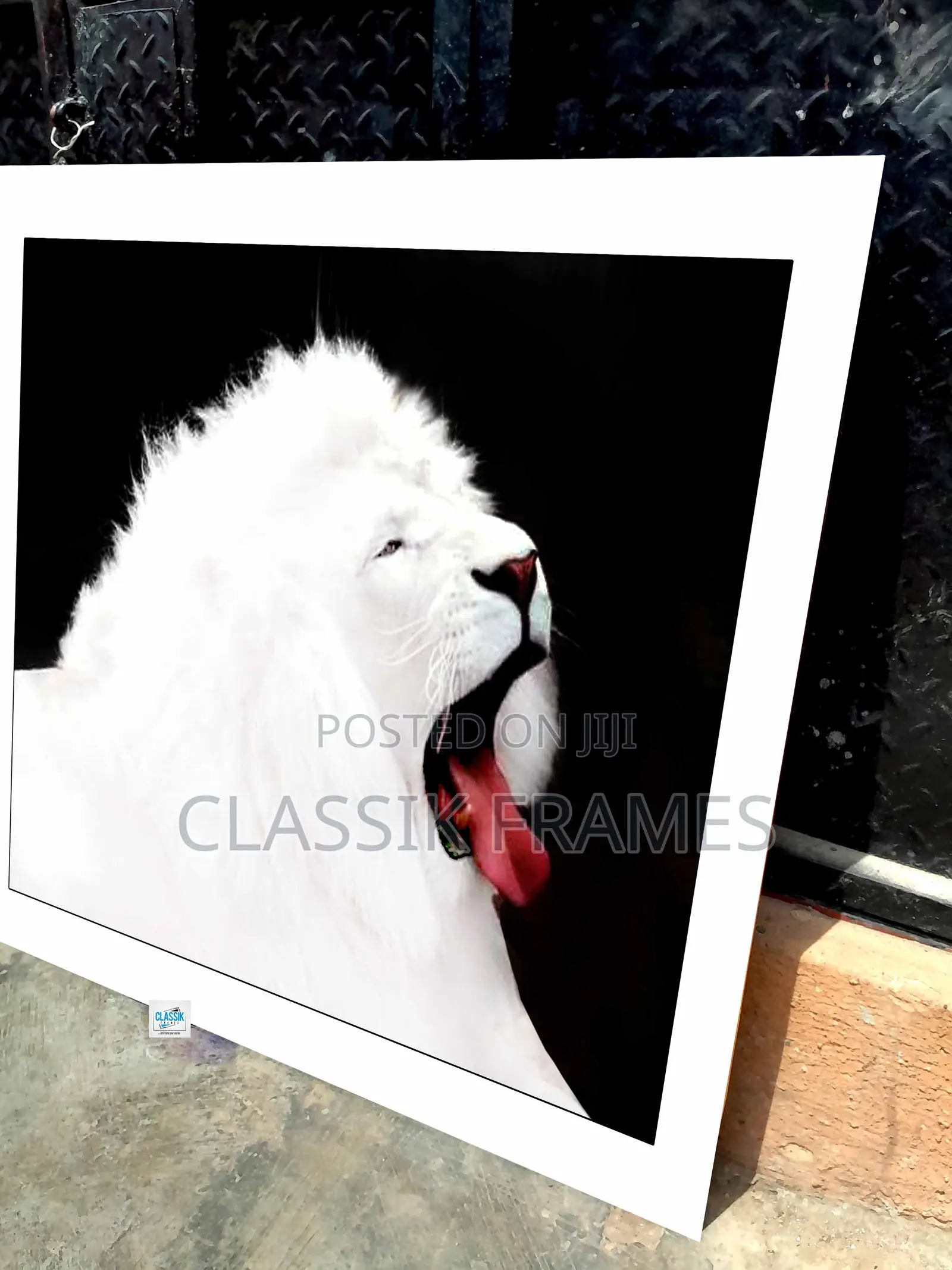 Hd Framed White Lion Canvas Digi Painting Wallart