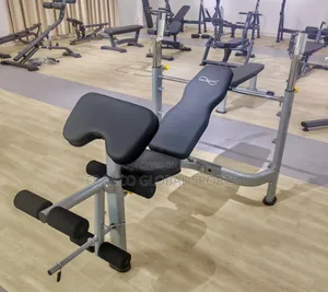 Adjustable Weight Workout Bench