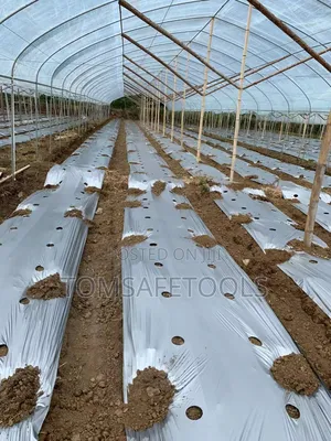 Mulch Film Nylon 1.2meter By 200meter By 50micro