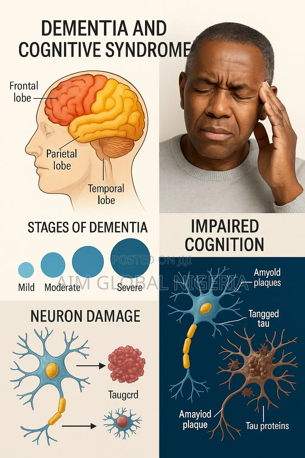 Combat Dementia And Cognitive Syndrome