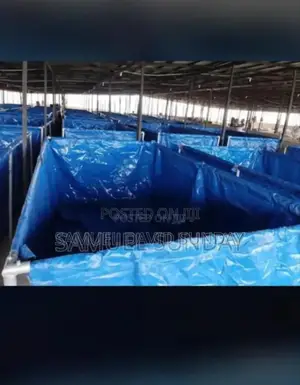 Fish Pond 5meters by 3meters Pond Available With the Best Qualities.