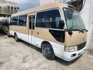 Toyota Coaster 2010 Brown
