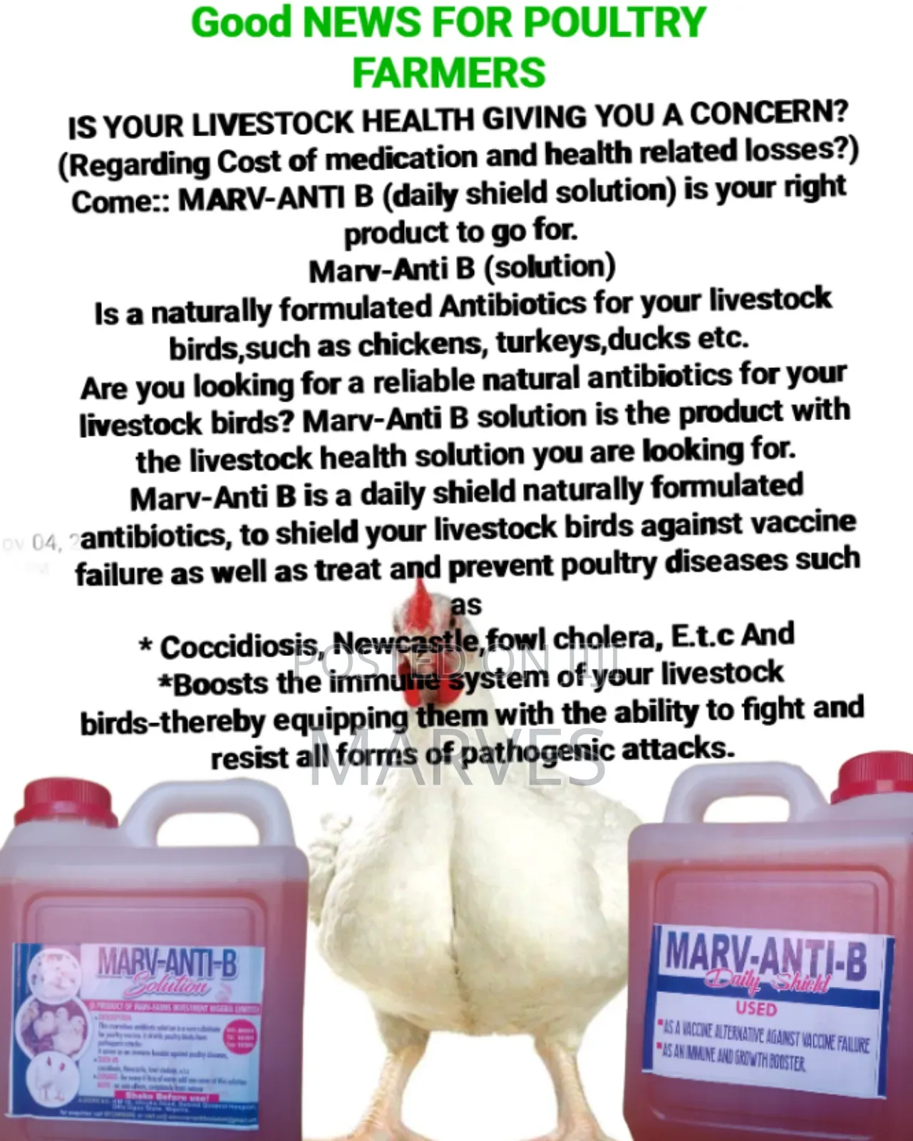 Marv-anti B Solution