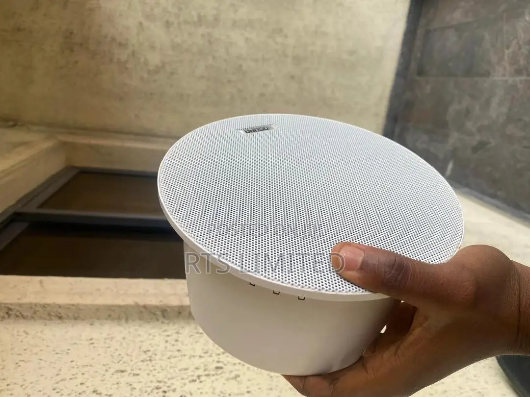 Ceiling Speaker