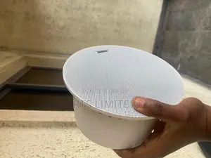 Ceiling Speaker