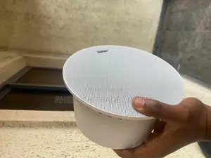 Ceiling Speaker