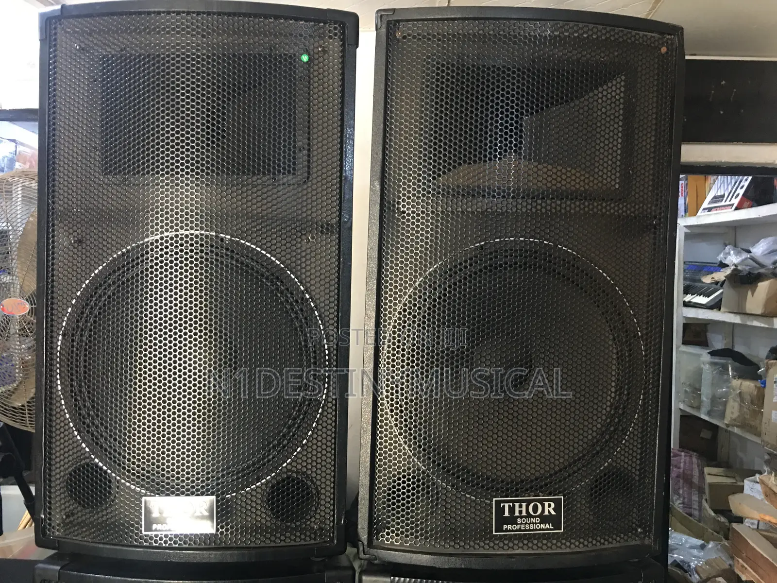 15 Inch Speaker