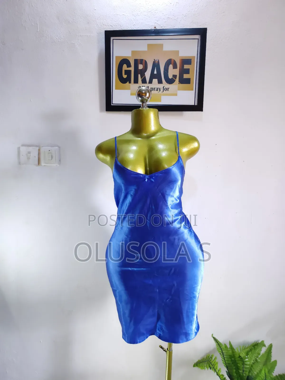 Beautiful Silk Nightgown