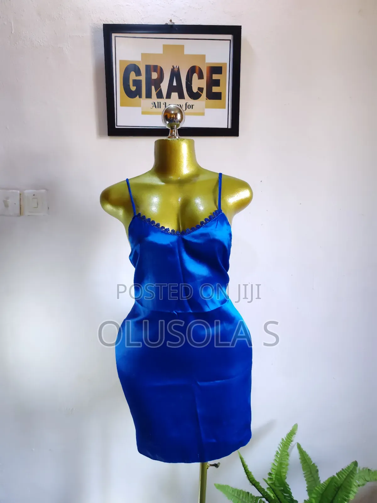 Beautiful Silk Nightgown