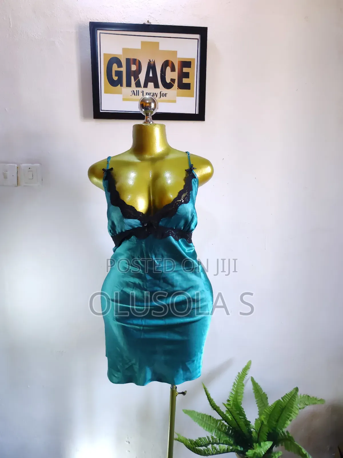 Beautiful Silk Nightgown