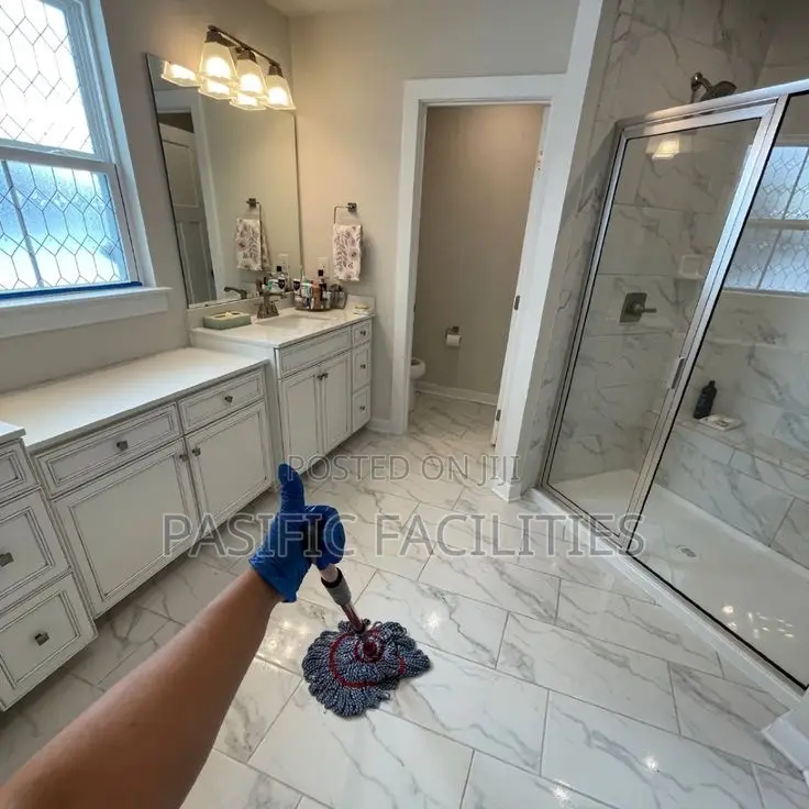 Professional Cleaning Services
