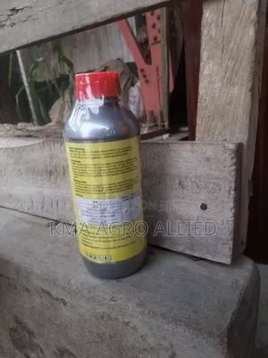 Rocket Termite Killer