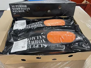 Norwegian Salmon Fish Available