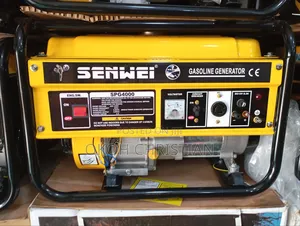Senwei Generator Pg4000
