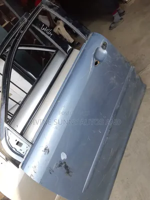 Rx330 Doors