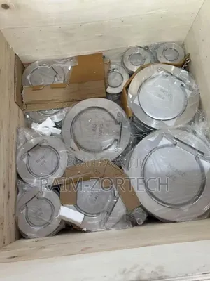 Stainless Steel Flat Non-Return Valve and Flange
