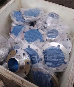 Stainless Steel Flat Non-Return Valve and Flange