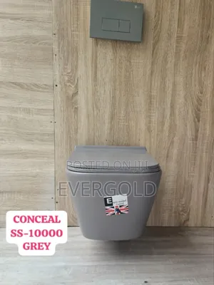 Grey Conceal Water Closet With Complete Accessories And Guaranteed