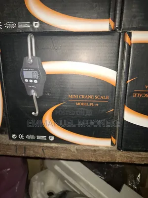 Mini Crane Scale 300kg