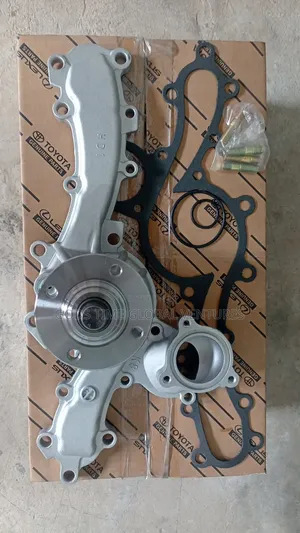 Water Pump 1gr