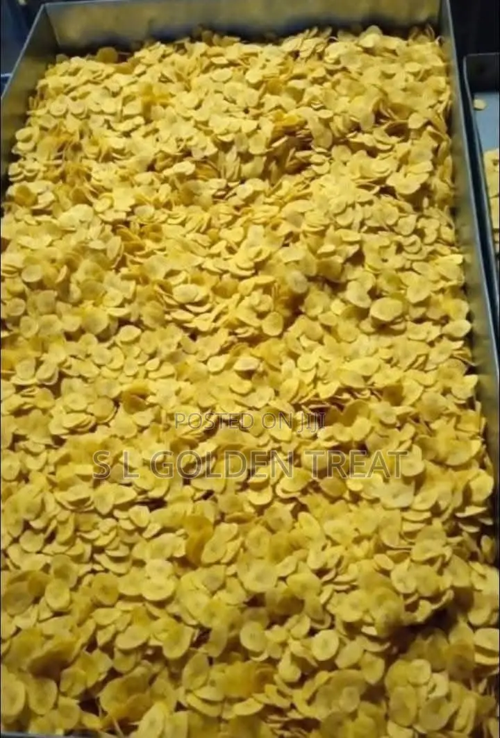 Premium Plantain Chips