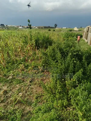 50/100 Land for Sale