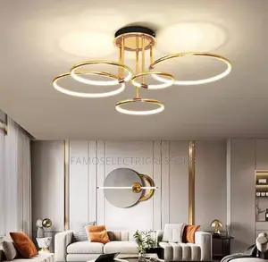 Ceiling Mounted Led Lighting Chandelier