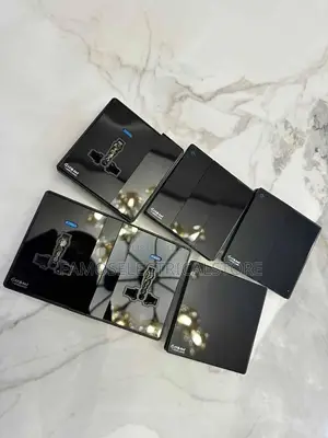 Black Switches and Socket